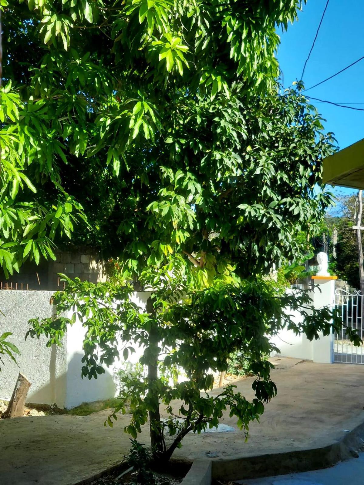 Cas Bed And Breakfast Corral Spring Екстериор снимка